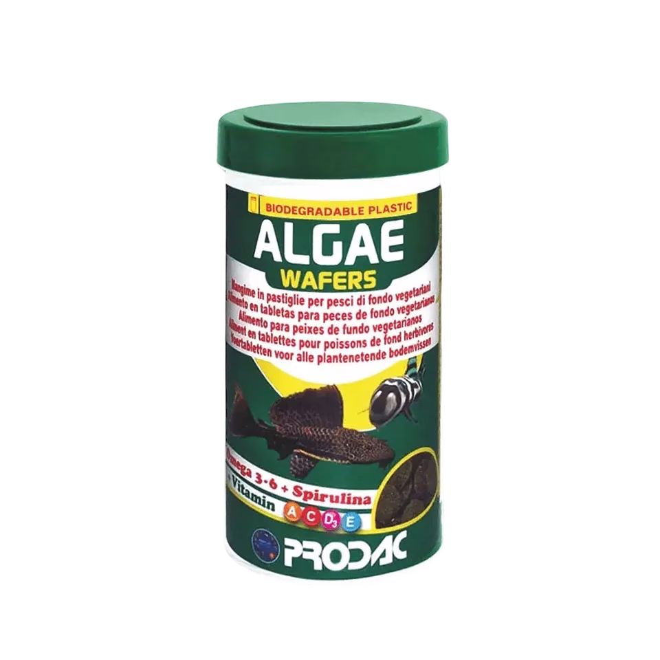 博達克 異型底棲魚螺旋藻錠