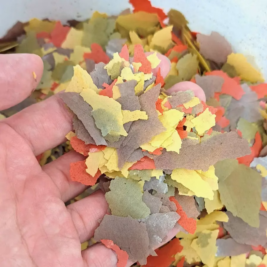 博達克 健康成長薄片