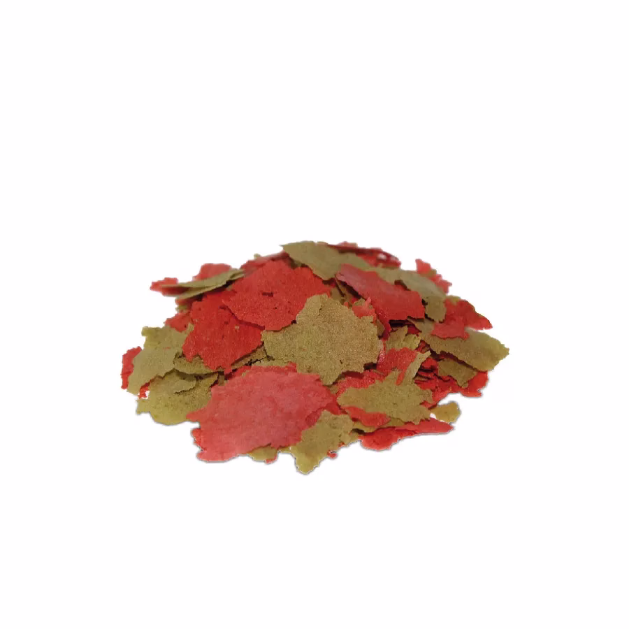 孔雀燈科小型魚增豔薄片