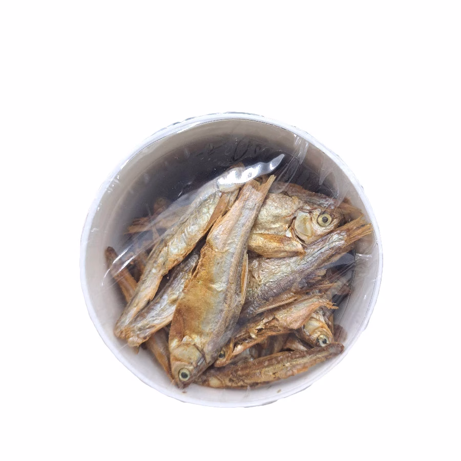 博達克 烏龜兩棲爬蟲營養魚乾 1200ml