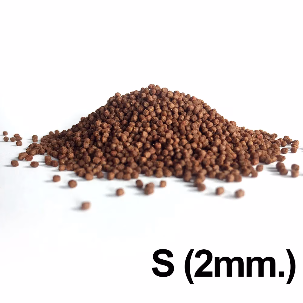 AZOO 9合1血鸚鵡漢堡